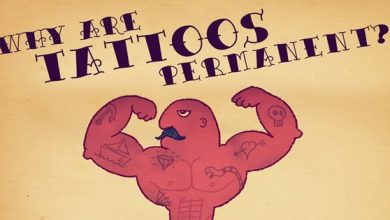 Por que as tatuagens são permanentes 9