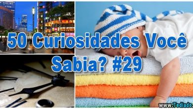 50 Curiosidades Você Sabia? #29 5