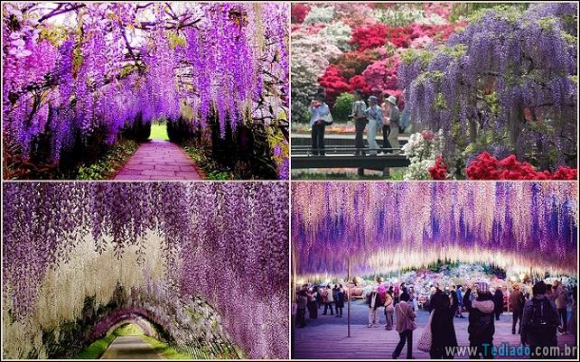 lugares-fabulosos-em-todo-o-mundo-02