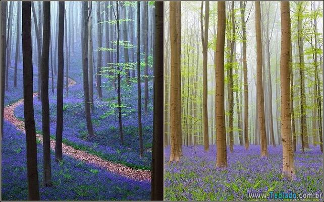 lugares-fabulosos-em-todo-o-mundo-11