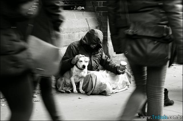 morador-de-rua-e-seus-cachorros-05