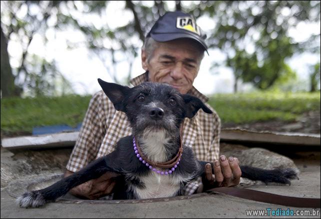 morador-de-rua-e-seus-cachorros-08