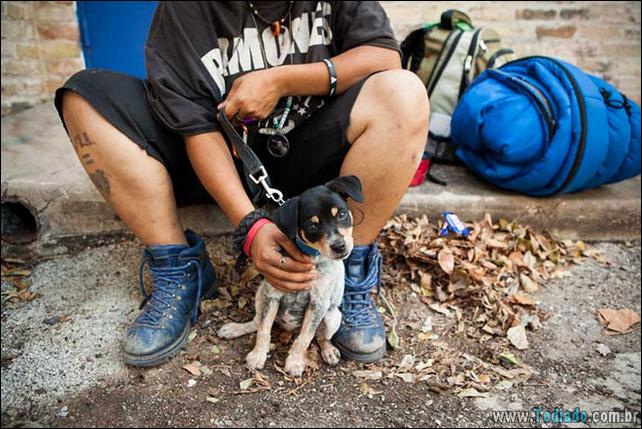 morador-de-rua-e-seus-cachorros-24