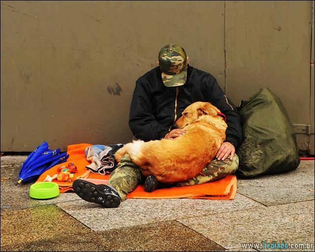 morador-de-rua-e-seus-cachorros-25