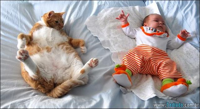 motivos-filhos-precisam-animal-estimacao-01