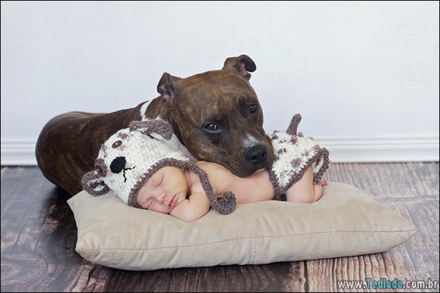 motivos-filhos-precisam-animal-estimacao-02