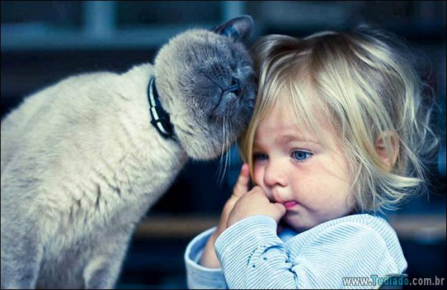 motivos-filhos-precisam-animal-estimacao-04