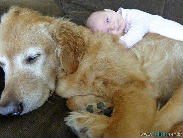 motivos-filhos-precisam-animal-estimacao-11