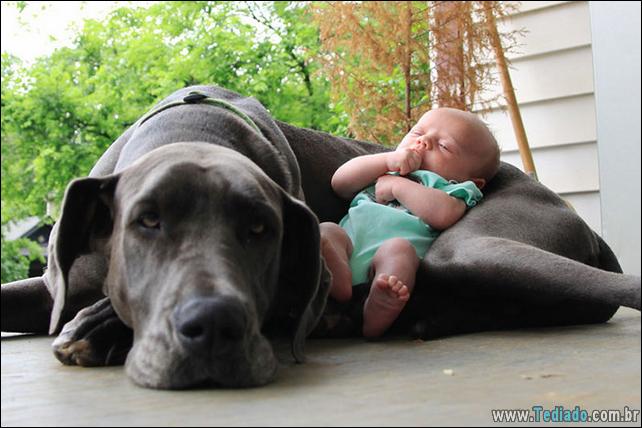 motivos-filhos-precisam-animal-estimacao-12