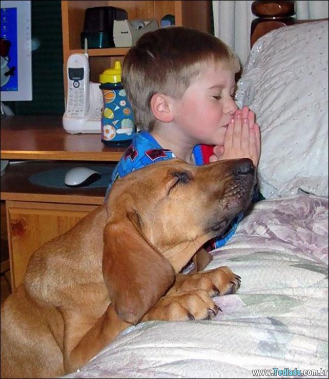 motivos-filhos-precisam-animal-estimacao-30