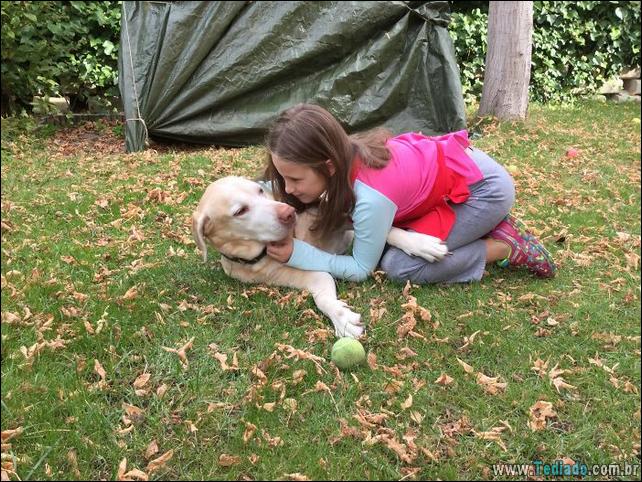 motivos-filhos-precisam-animal-estimacao-35