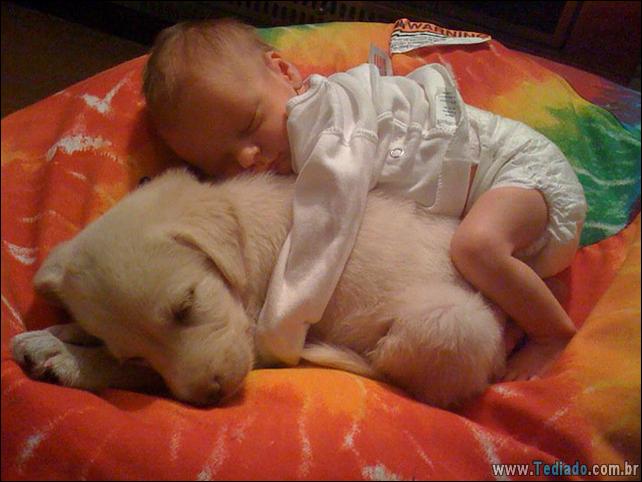 motivos-filhos-precisam-animal-estimacao-36