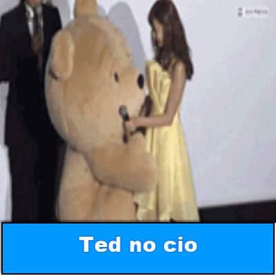 Ted no cio t-link-02