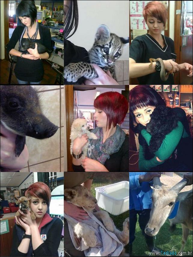 hospital-de-animais-01