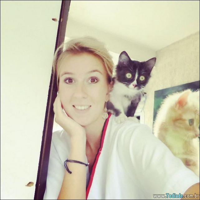 hospital-de-animais-02