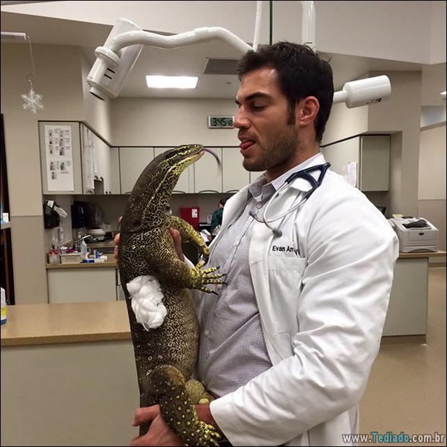 hospital-de-animais-08