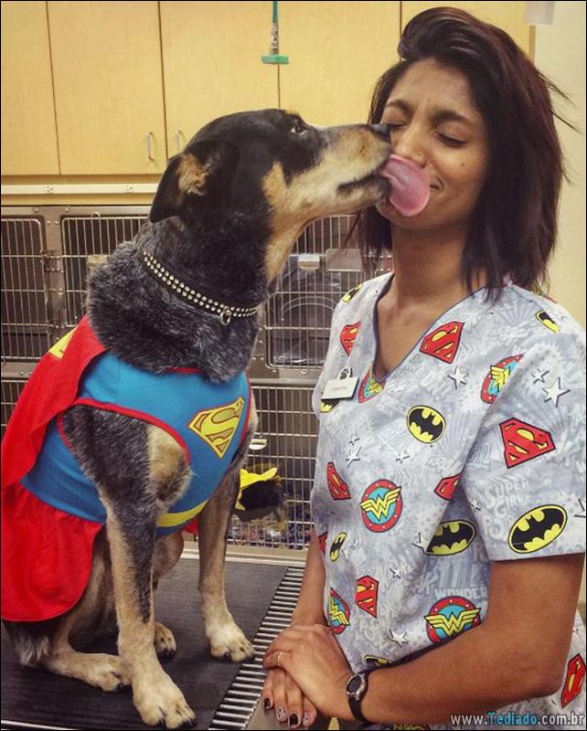 hospital-de-animais-14