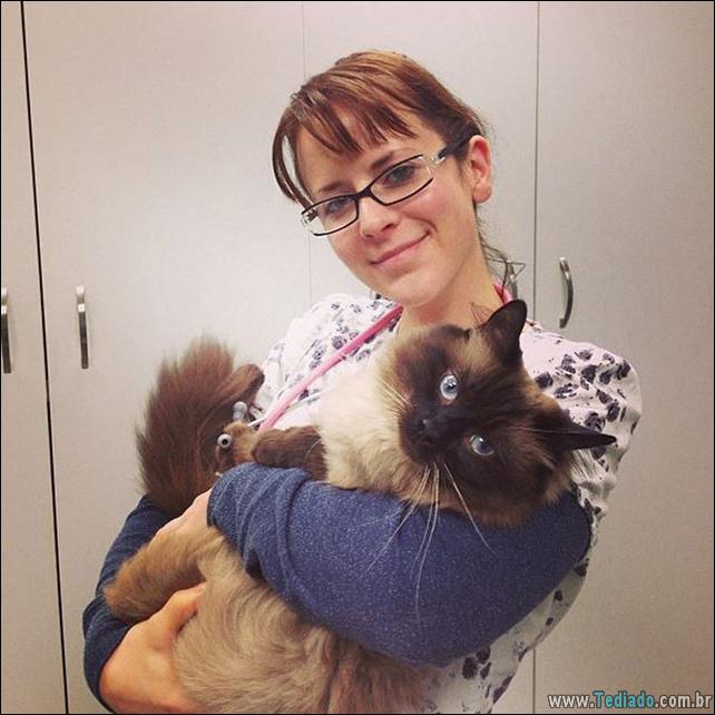 hospital-de-animais-15