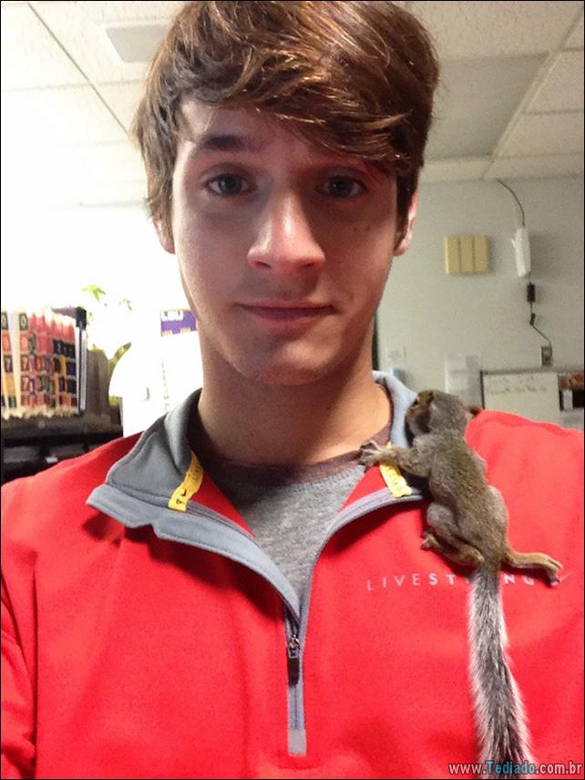 hospital-de-animais-16