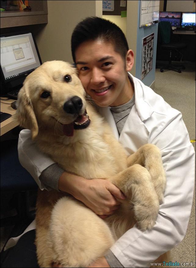 hospital-de-animais-17