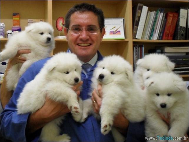 hospital-de-animais-26