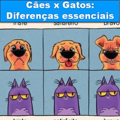 Cães x Gatos: Diferenças essenciais link-da-semana-05