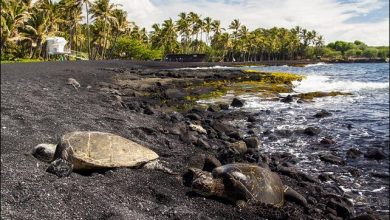 8 praias de areia negra fantásticas no mundo 6