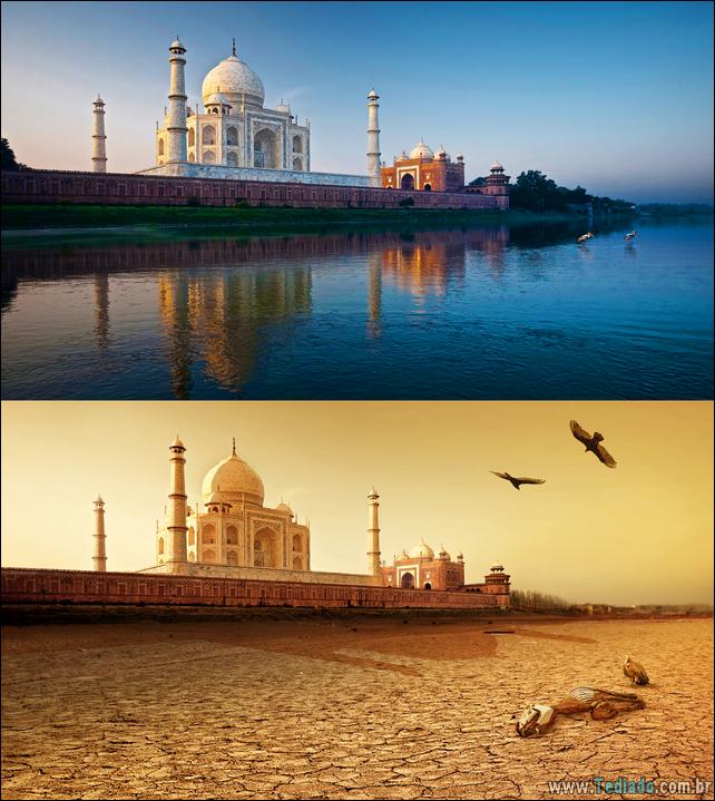Yellow billed stork walk in the Jamuna River next to the Taj Mahal and its sunrise reflection