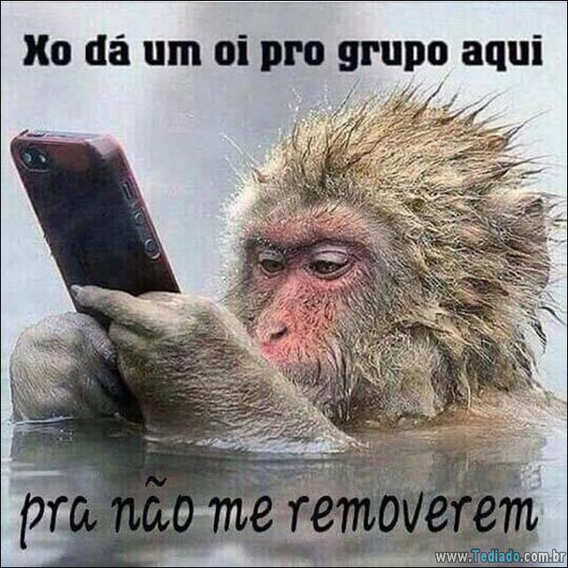 imagens-para-whatsapp-14