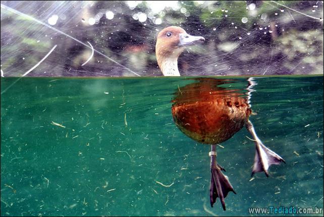 impressionantes-fotos-tiradas-entre-dois-mundo-02