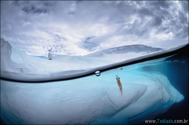 impressionantes-fotos-tiradas-entre-dois-mundo-06