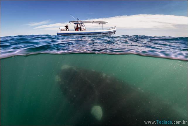 impressionantes-fotos-tiradas-entre-dois-mundo-07
