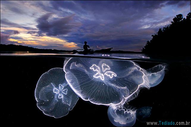 impressionantes-fotos-tiradas-entre-dois-mundo-08