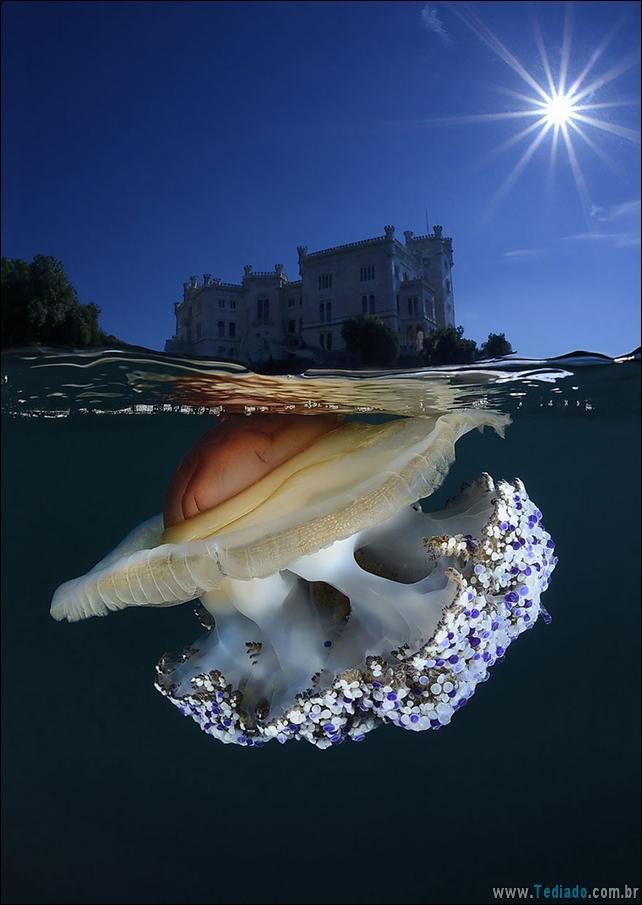 impressionantes-fotos-tiradas-entre-dois-mundo-11