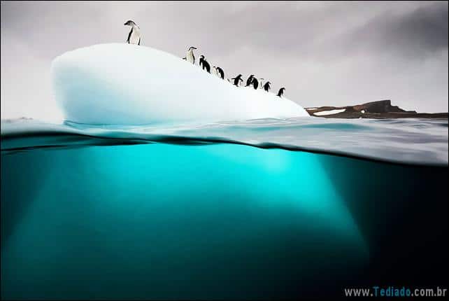 impressionantes-fotos-tiradas-entre-dois-mundo-13