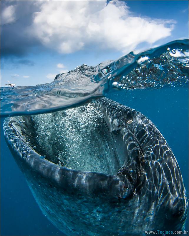 impressionantes-fotos-tiradas-entre-dois-mundo-16