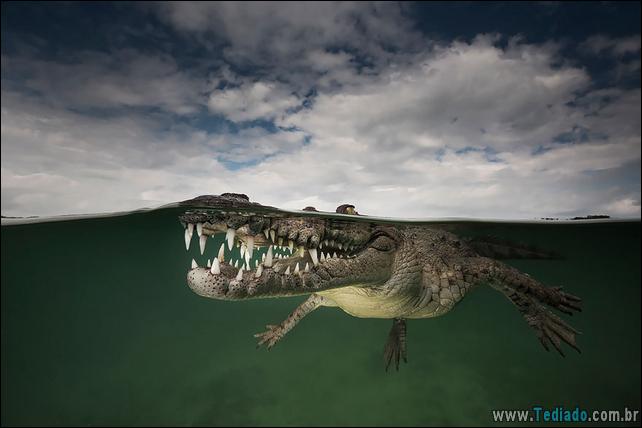 impressionantes-fotos-tiradas-entre-dois-mundo-17