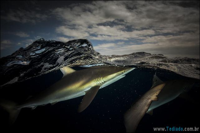 impressionantes-fotos-tiradas-entre-dois-mundo-18