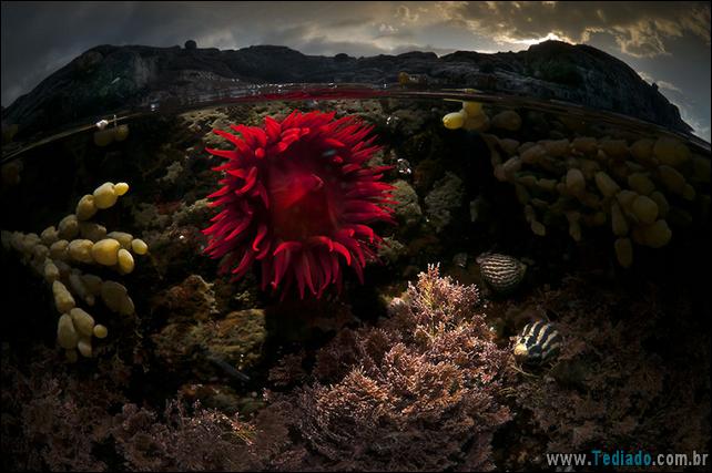 impressionantes-fotos-tiradas-entre-dois-mundo-19