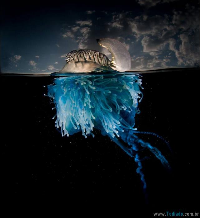 impressionantes-fotos-tiradas-entre-dois-mundo-20