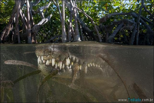 impressionantes-fotos-tiradas-entre-dois-mundo-23