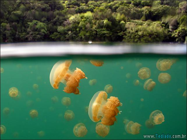 impressionantes-fotos-tiradas-entre-dois-mundo-28