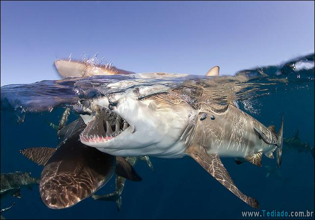 impressionantes-fotos-tiradas-entre-dois-mundo-30