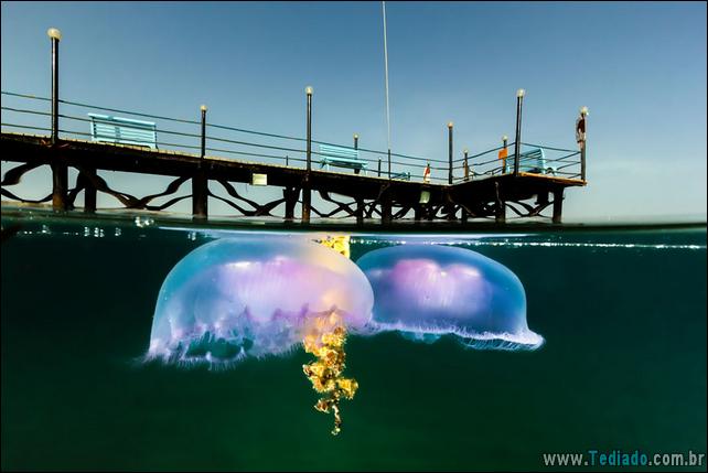 impressionantes-fotos-tiradas-entre-dois-mundo-31