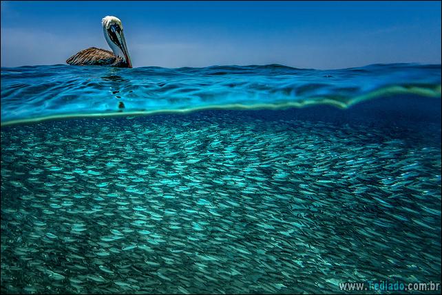 impressionantes-fotos-tiradas-entre-dois-mundo-32