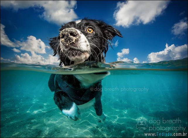 impressionantes-fotos-tiradas-entre-dois-mundo-36