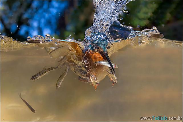 impressionantes-fotos-tiradas-entre-dois-mundo-37