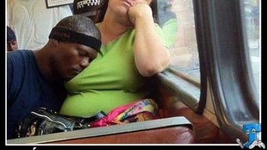 3 Plaquinhas divertidas 25