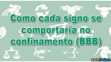 Como cada signo se comportaria no confinamento (BBB) 4