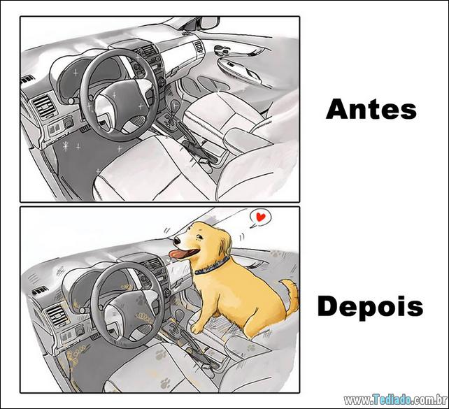 vida-antes-e-depois-de-ter-um-cachorro-02